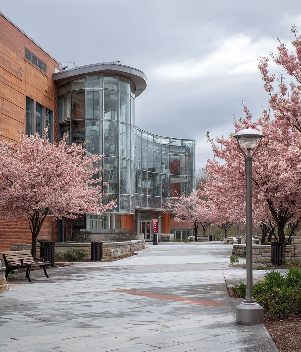 82fba07c-2d3b-4357-9393-c96afab4d787_2185x2560